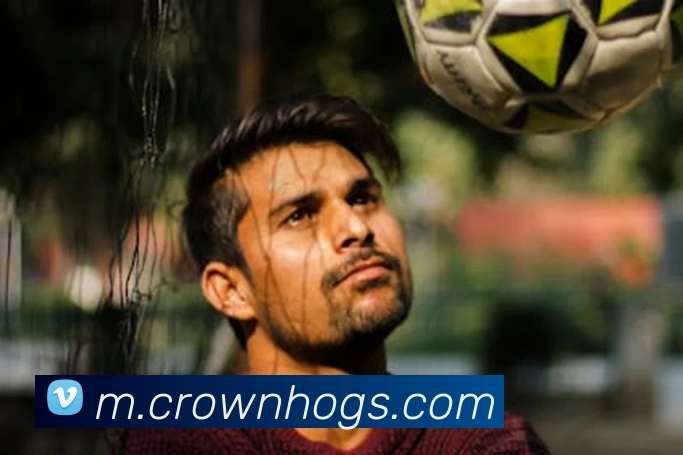 皇冠crown体育平台全站App